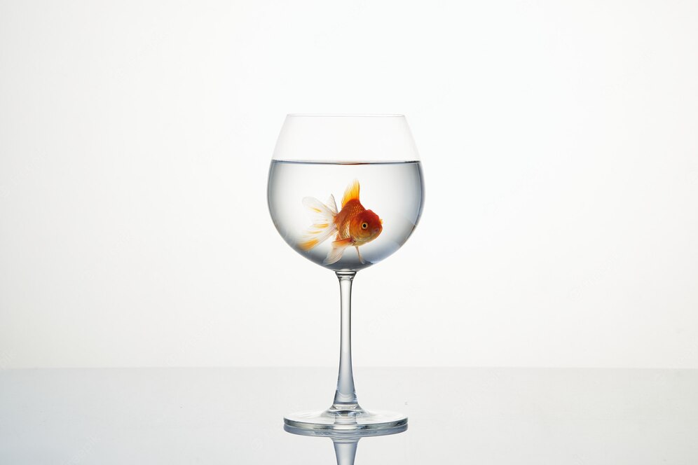 poisson dans verre de vin